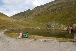 Bild 6
