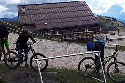 Bild 7