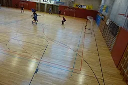 Bild 7