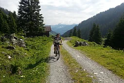 Bild 2
