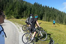Bild 7
